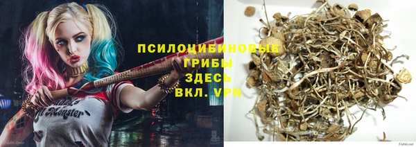 стаф Абдулино
