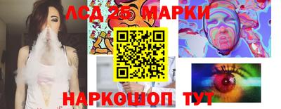 СК Рыбинск
