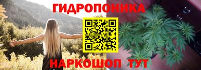 гидра Северобайкальск