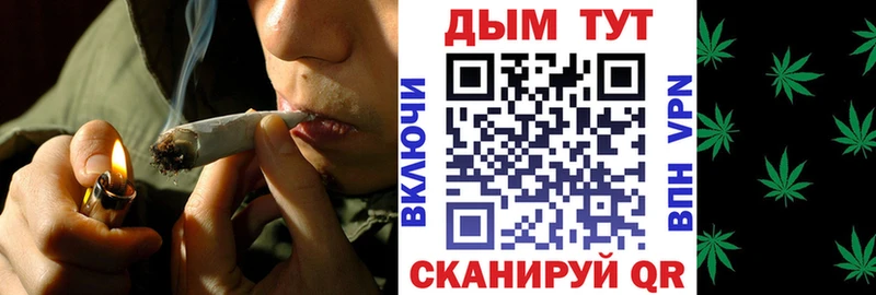 ссылка на мегу онион  продажа наркотиков  Сургут  Конопля планчик 